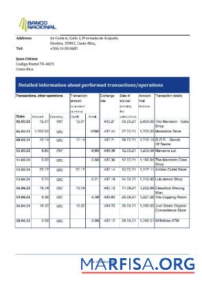 Realistic Costa Rica Banco Nacional bank statement excel real example